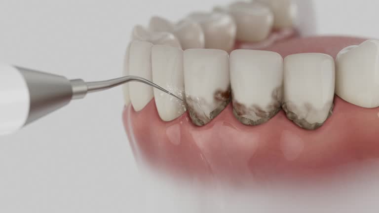 Reliable Dental contractor in Berrien County County, MI by Dentist Open Now